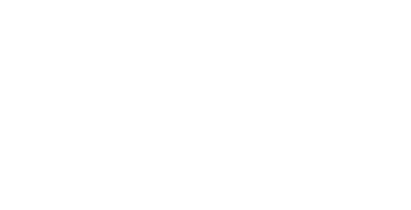 Newton Paiva Logo